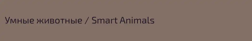Умные животные / Smart Animals
